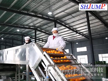 conveyor belt wiper conveyor belt wiper